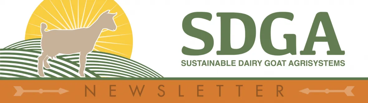 Header image for the SDGA Newsletter
