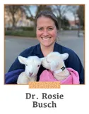 Image of Dr. Rosie Busch